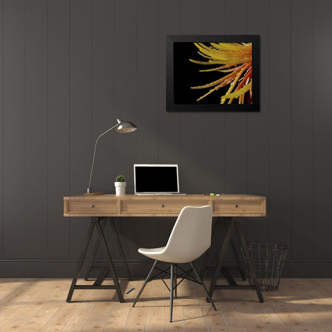 Sun Dance II Black Modern Wood Framed Art Print by Burkhart, Monika