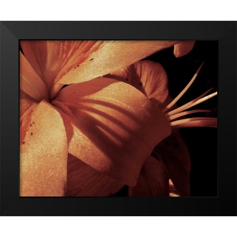 Exotique I Black Modern Wood Framed Art Print by Burkhart, Monika