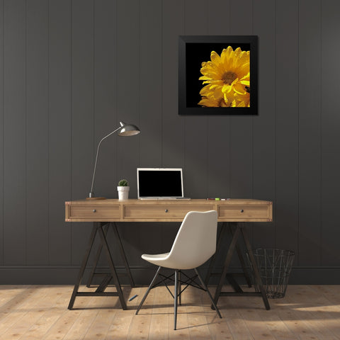 Sun Sparkled II Black Modern Wood Framed Art Print by Burkhart, Monika