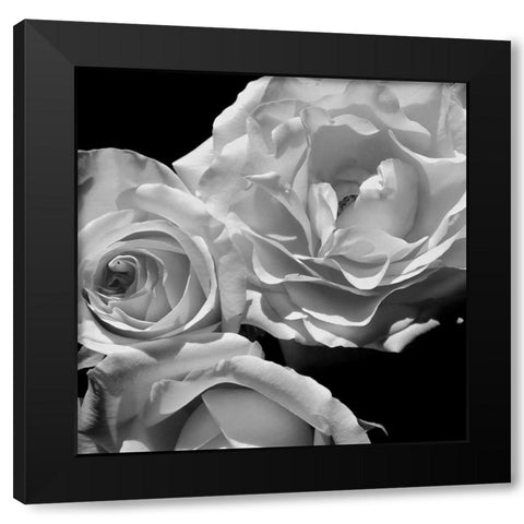 LEssence de la Rose BW I Black Modern Wood Framed Art Print by Burkhart, Monika