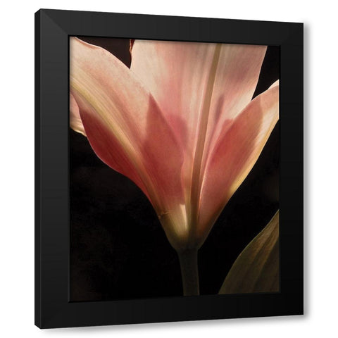 Blooming Peach Floral Black Modern Wood Framed Art Print by Burkhart, Monika