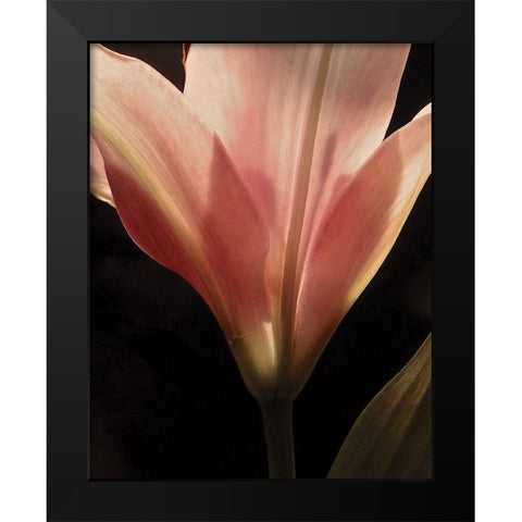 Blooming Peach Floral Black Modern Wood Framed Art Print by Burkhart, Monika