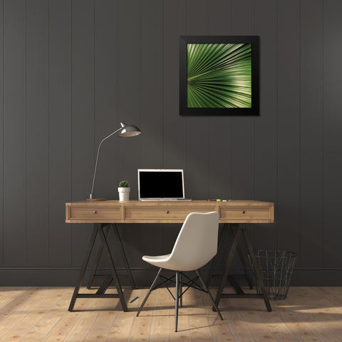 Nature Up-Close IV Black Modern Wood Framed Art Print by Burkhart, Monika