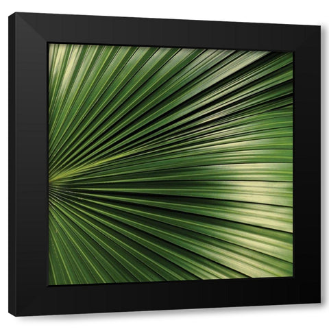 Nature Up-Close IV Black Modern Wood Framed Art Print by Burkhart, Monika