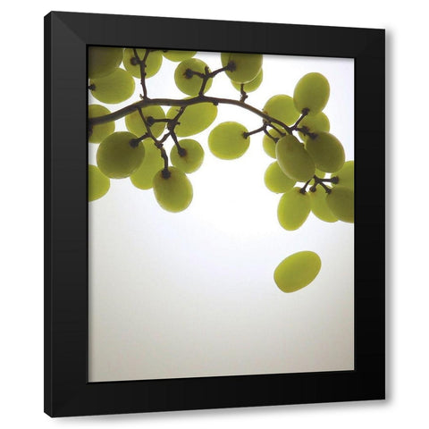 Grape Bunch I Black Modern Wood Framed Art Print by Burkhart, Monika