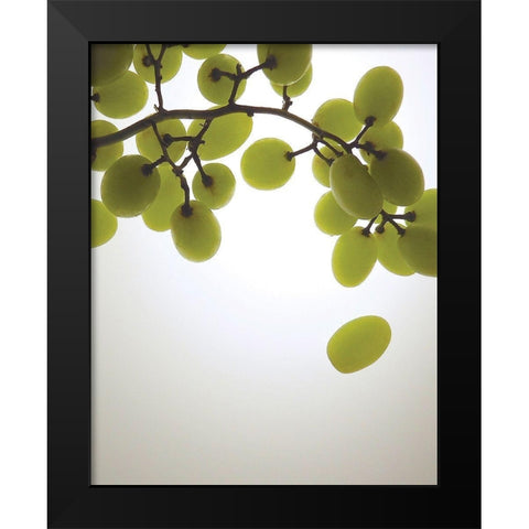 Grape Bunch I Black Modern Wood Framed Art Print by Burkhart, Monika
