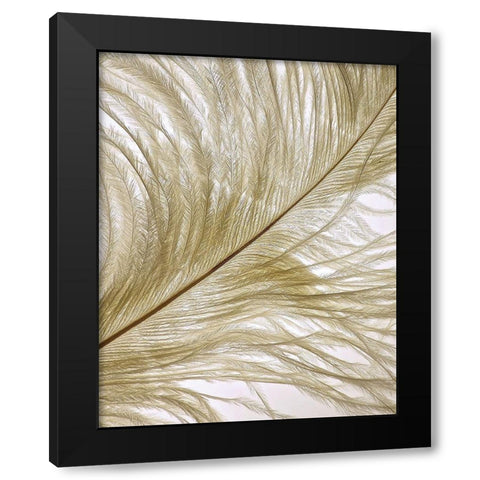 Feather Close-Up II Black Modern Wood Framed Art Print with Double Matting by Burkhart, Monika
