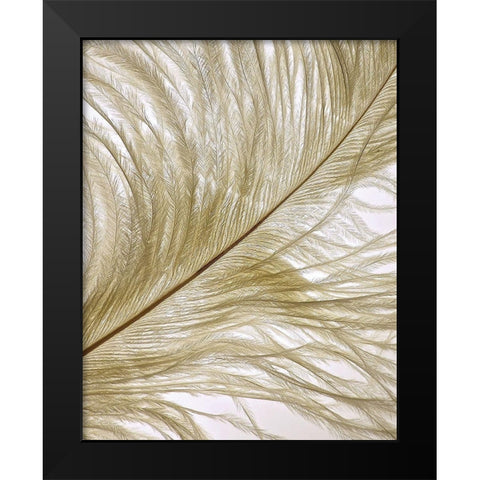 Feather Close-Up II Black Modern Wood Framed Art Print by Burkhart, Monika