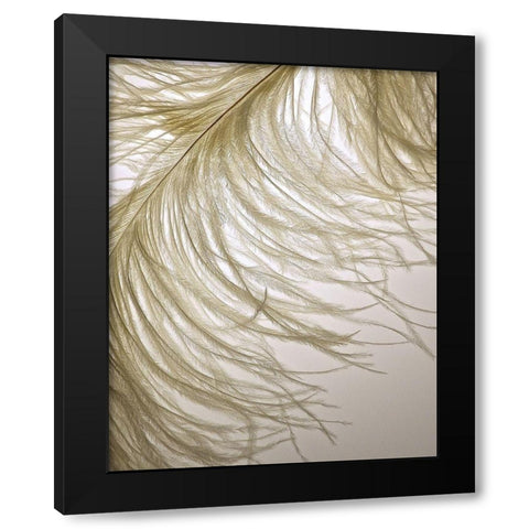 Feather Close-Up III Black Modern Wood Framed Art Print with Double Matting by Burkhart, Monika