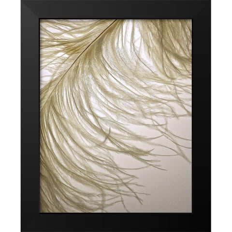 Feather Close-Up III Black Modern Wood Framed Art Print by Burkhart, Monika