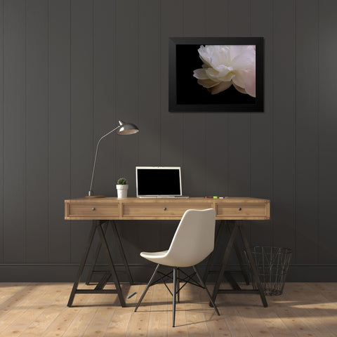 White Peony I Black Modern Wood Framed Art Print by Burkhart, Monika