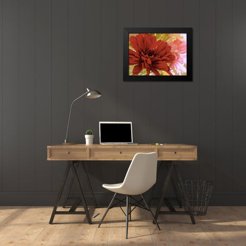 Gerbera Daisies Black Modern Wood Framed Art Print by Burkhart, Monika