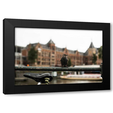 Perched I Black Modern Wood Framed Art Print with Double Matting by Berzel, Erin