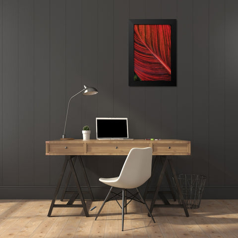 Red Leaf I Black Modern Wood Framed Art Print by Berzel, Erin