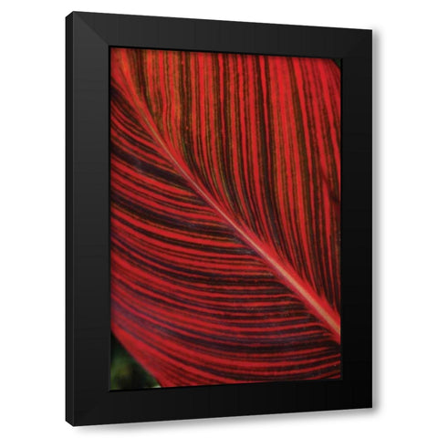 Red Leaf I Black Modern Wood Framed Art Print with Double Matting by Berzel, Erin