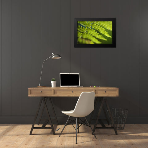 Spring Growth I Black Modern Wood Framed Art Print by Berzel, Erin