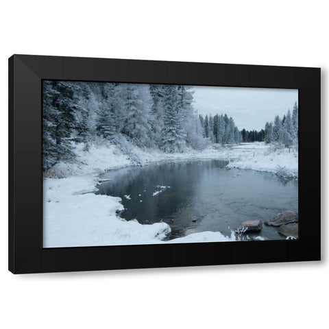 Winter on the Lake I Black Modern Wood Framed Art Print by Berzel, Erin