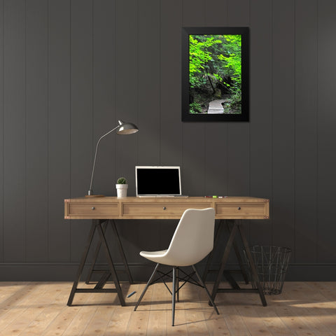 Afternoon Hike II Black Modern Wood Framed Art Print by Berzel, Erin