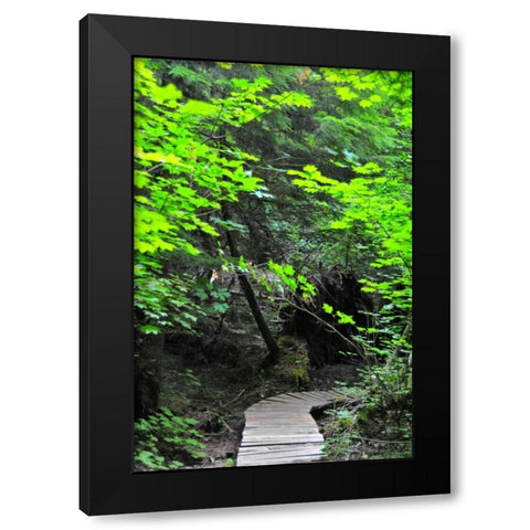 Afternoon Hike II Black Modern Wood Framed Art Print by Berzel, Erin