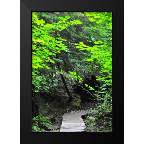 Afternoon Hike II Black Modern Wood Framed Art Print by Berzel, Erin