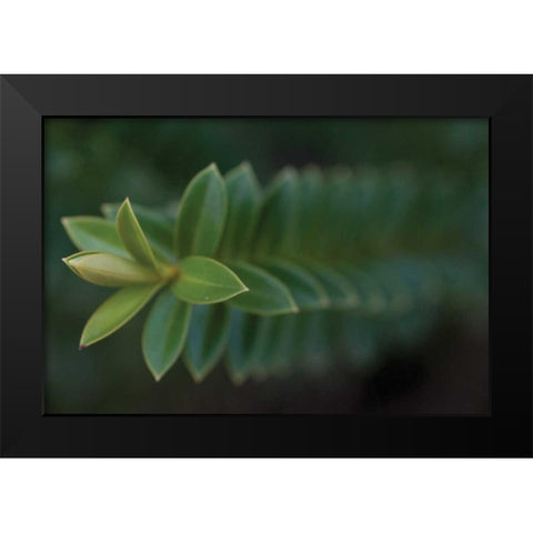 Green Leaves II Black Modern Wood Framed Art Print by Berzel, Erin