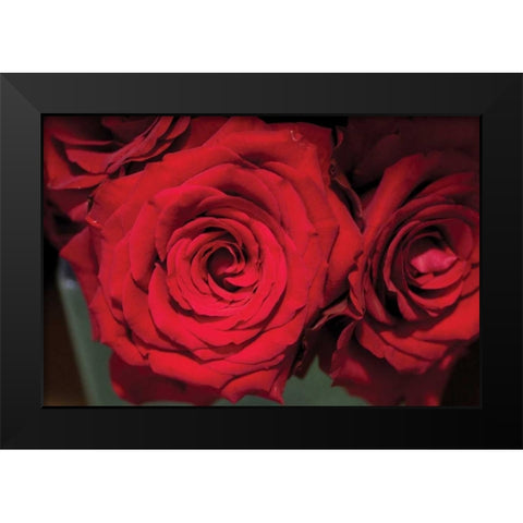 Red Roses Black Modern Wood Framed Art Print by Berzel, Erin