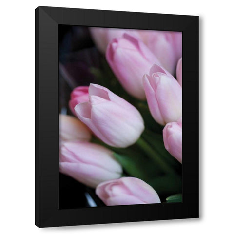 Soft Pink Tulips I Black Modern Wood Framed Art Print by Berzel, Erin