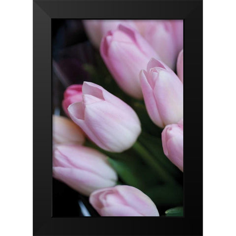 Soft Pink Tulips I Black Modern Wood Framed Art Print by Berzel, Erin