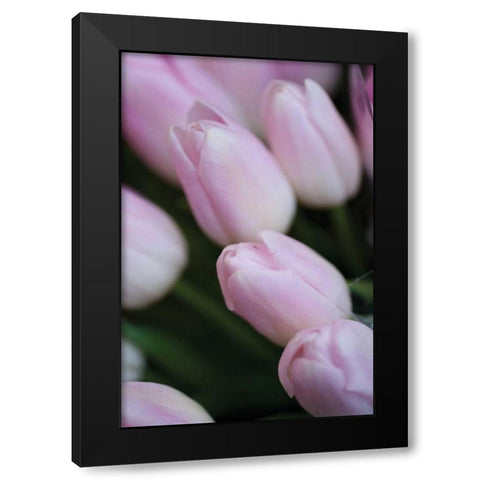 Soft Pink Tulips II Black Modern Wood Framed Art Print by Berzel, Erin
