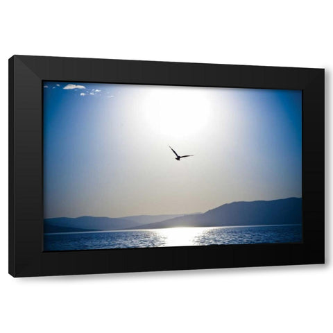 Take Flight Black Modern Wood Framed Art Print by Berzel, Erin