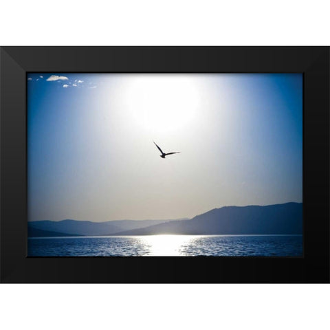 Take Flight Black Modern Wood Framed Art Print by Berzel, Erin