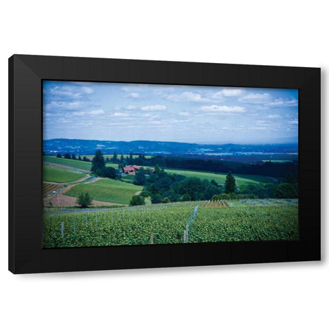 Oregon Wine Country Black Modern Wood Framed Art Print with Double Matting by Berzel, Erin
