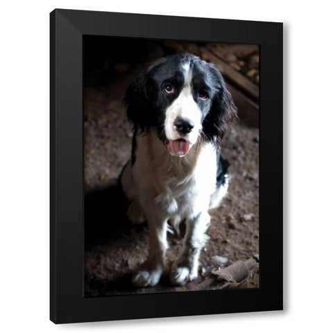 Jake The Dog Black Modern Wood Framed Art Print with Double Matting by Berzel, Erin