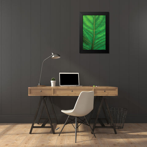 Leaf Detail V Black Modern Wood Framed Art Print by Berzel, Erin