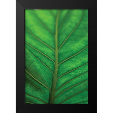 Leaf Detail V Black Modern Wood Framed Art Print by Berzel, Erin