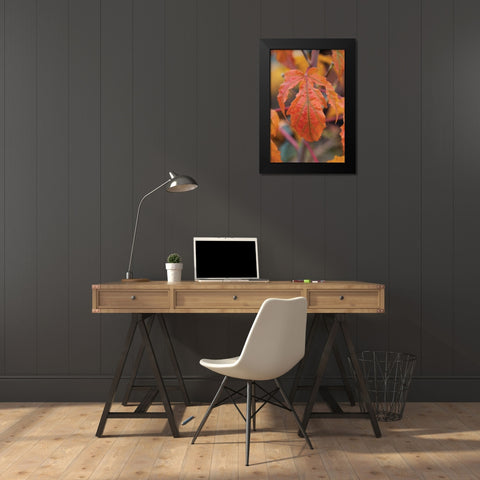 Orange Leaves I Black Modern Wood Framed Art Print by Berzel, Erin