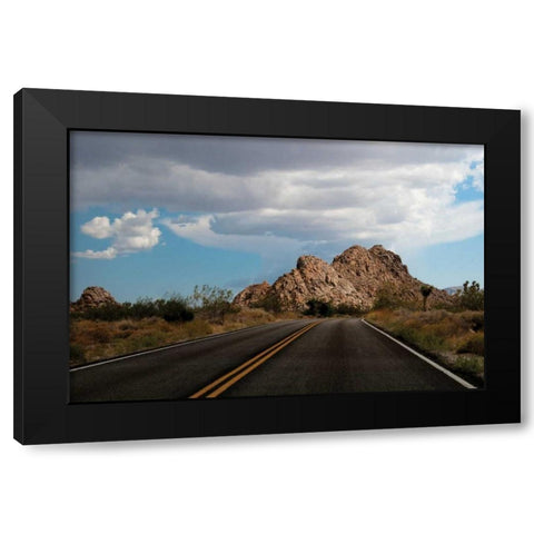 Joshua Tree National Park I Black Modern Wood Framed Art Print with Double Matting by Berzel, Erin