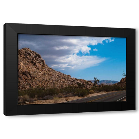Joshua Tree National Park II Black Modern Wood Framed Art Print with Double Matting by Berzel, Erin
