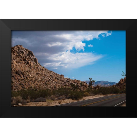 Joshua Tree National Park II Black Modern Wood Framed Art Print by Berzel, Erin