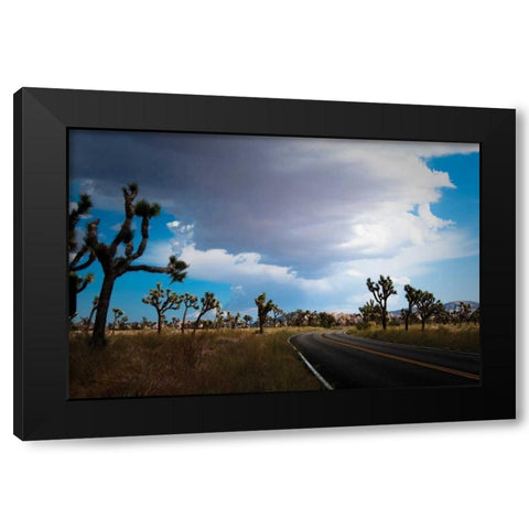 Joshua Tree National Park IV Black Modern Wood Framed Art Print with Double Matting by Berzel, Erin