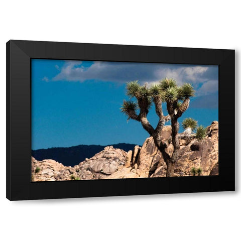 After the Storm II Black Modern Wood Framed Art Print with Double Matting by Berzel, Erin