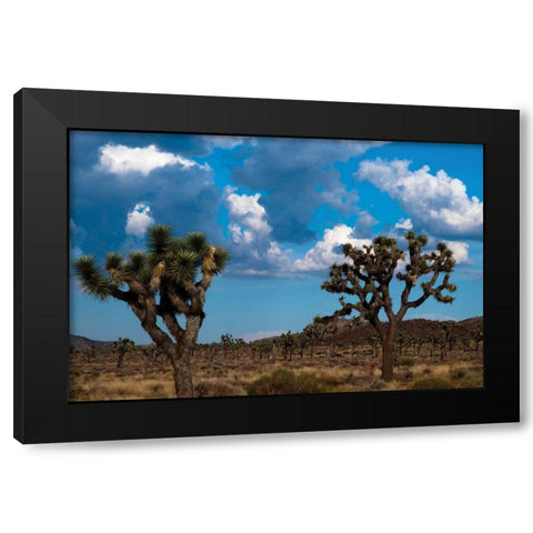 Blue Sky I Black Modern Wood Framed Art Print by Berzel, Erin