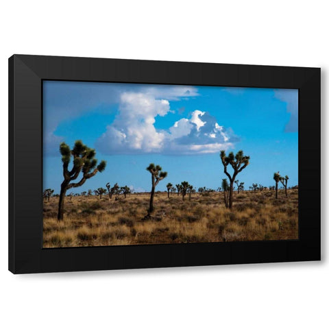 Blue Sky II Black Modern Wood Framed Art Print by Berzel, Erin