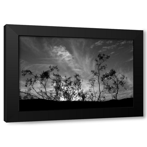 Sunset Silhouette II Black Modern Wood Framed Art Print by Berzel, Erin