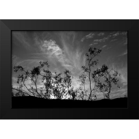 Sunset Silhouette II Black Modern Wood Framed Art Print by Berzel, Erin