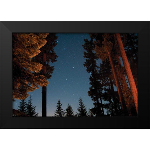 Starry Night I Black Modern Wood Framed Art Print by Berzel, Erin