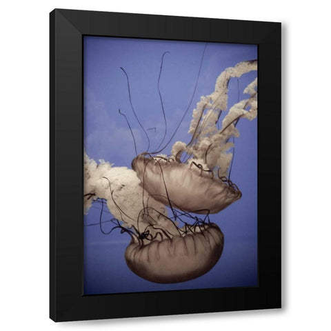 In the Water I Black Modern Wood Framed Art Print with Double Matting by Berzel, Erin