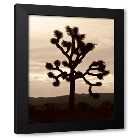 Yucca Brevifolia IV Black Modern Wood Framed Art Print by Berzel, Erin