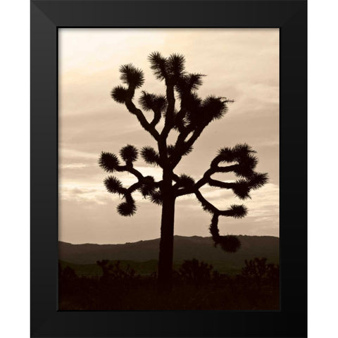 Yucca Brevifolia IV Black Modern Wood Framed Art Print by Berzel, Erin