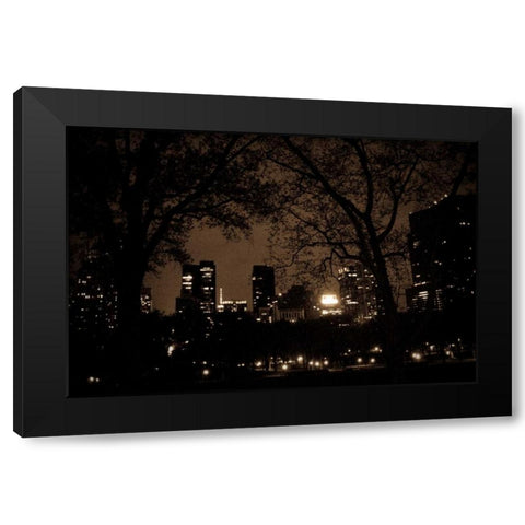Central Park at Night I Black Modern Wood Framed Art Print with Double Matting by Berzel, Erin